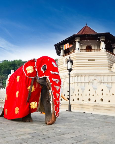 Kandy Temple