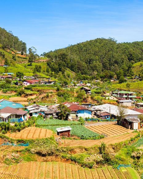 Nuwara Eliya, a city in the Central Province of Sri Lanka